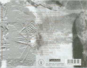 back insert